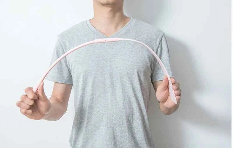 Dammborste med långt handtag