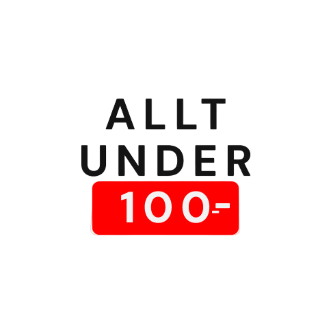 AlltUnder100kr